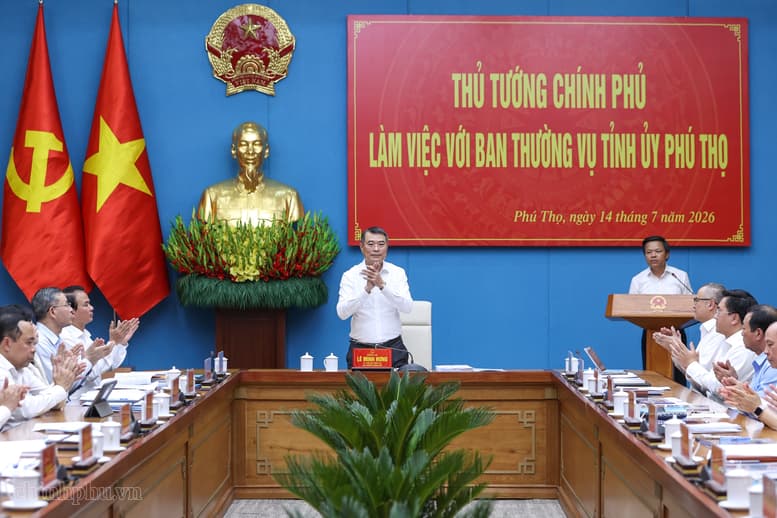 Pháp luật