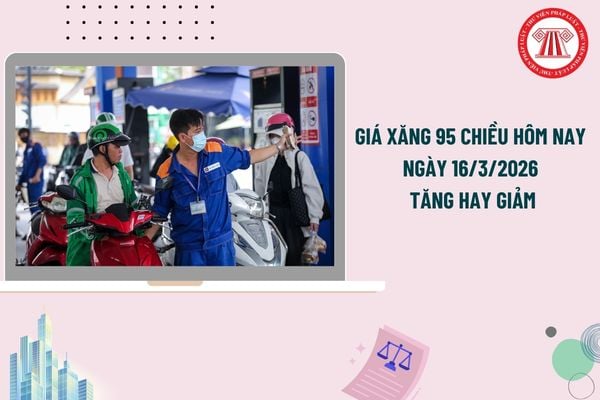 Pháp luật