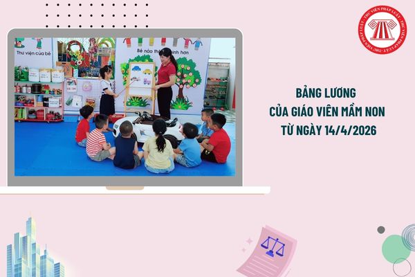 Pháp luật