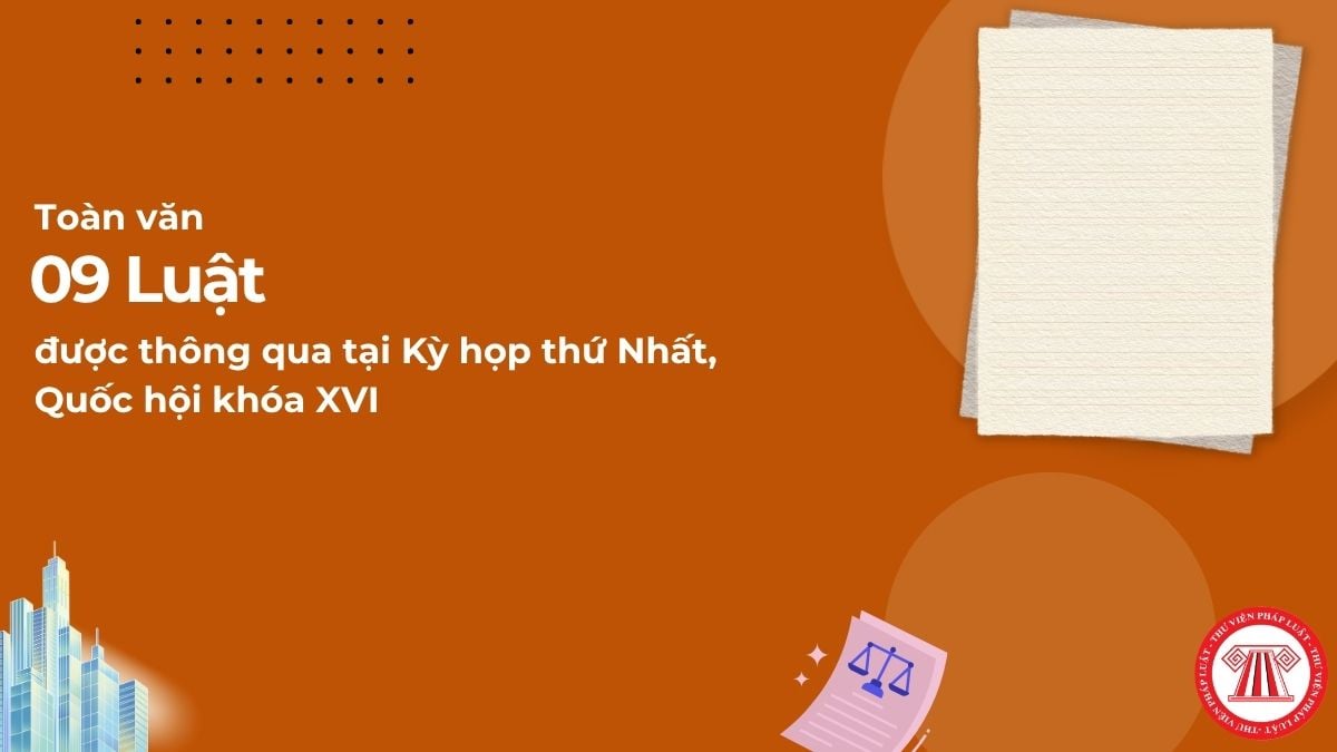 Pháp luật