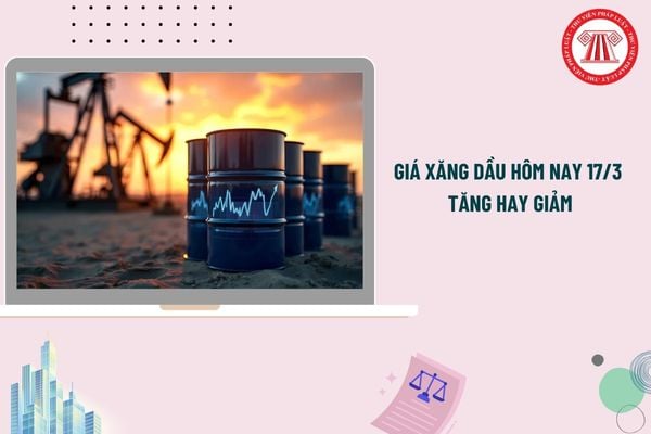 Pháp luật