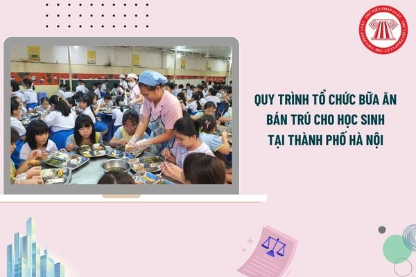 Pháp luật