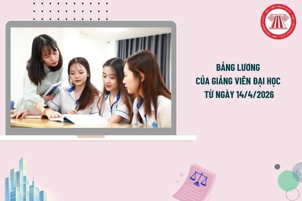Pháp luật
