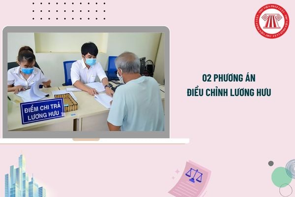 Pháp luật