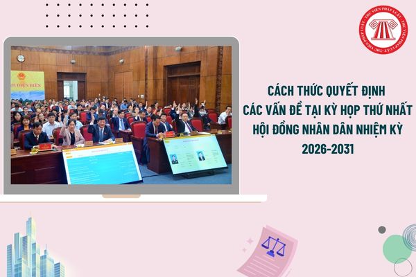 Pháp luật
