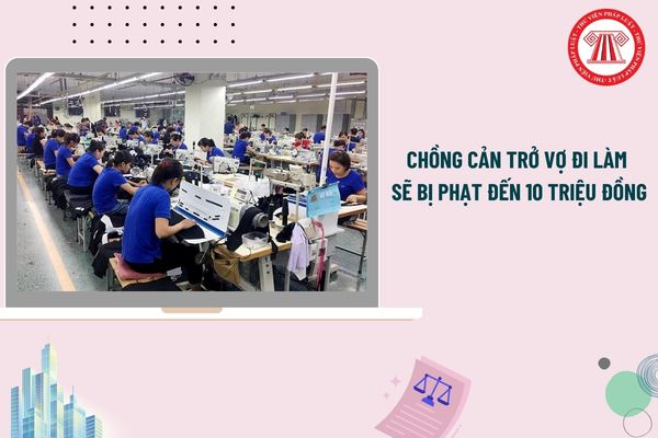 Pháp luật