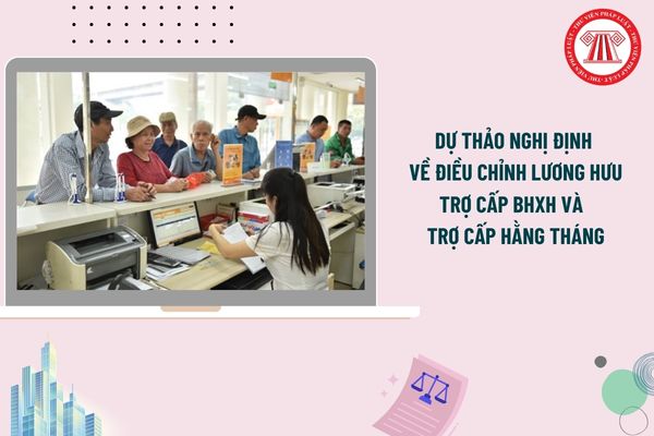Pháp luật