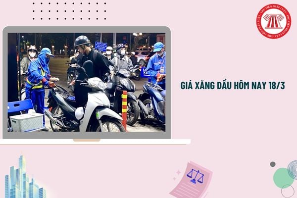 Pháp luật