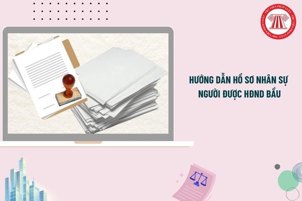 Pháp luật