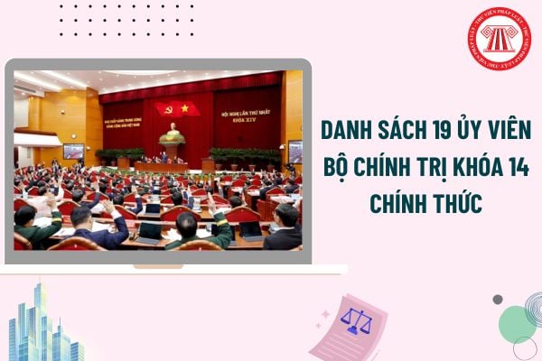 Pháp luật