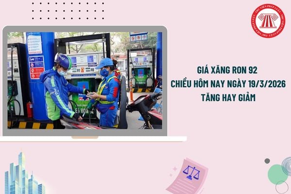 Pháp luật