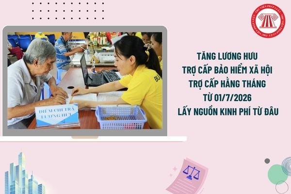 Pháp luật