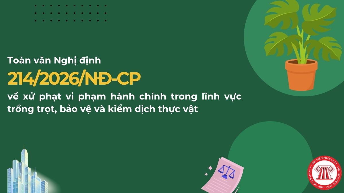 Pháp luật