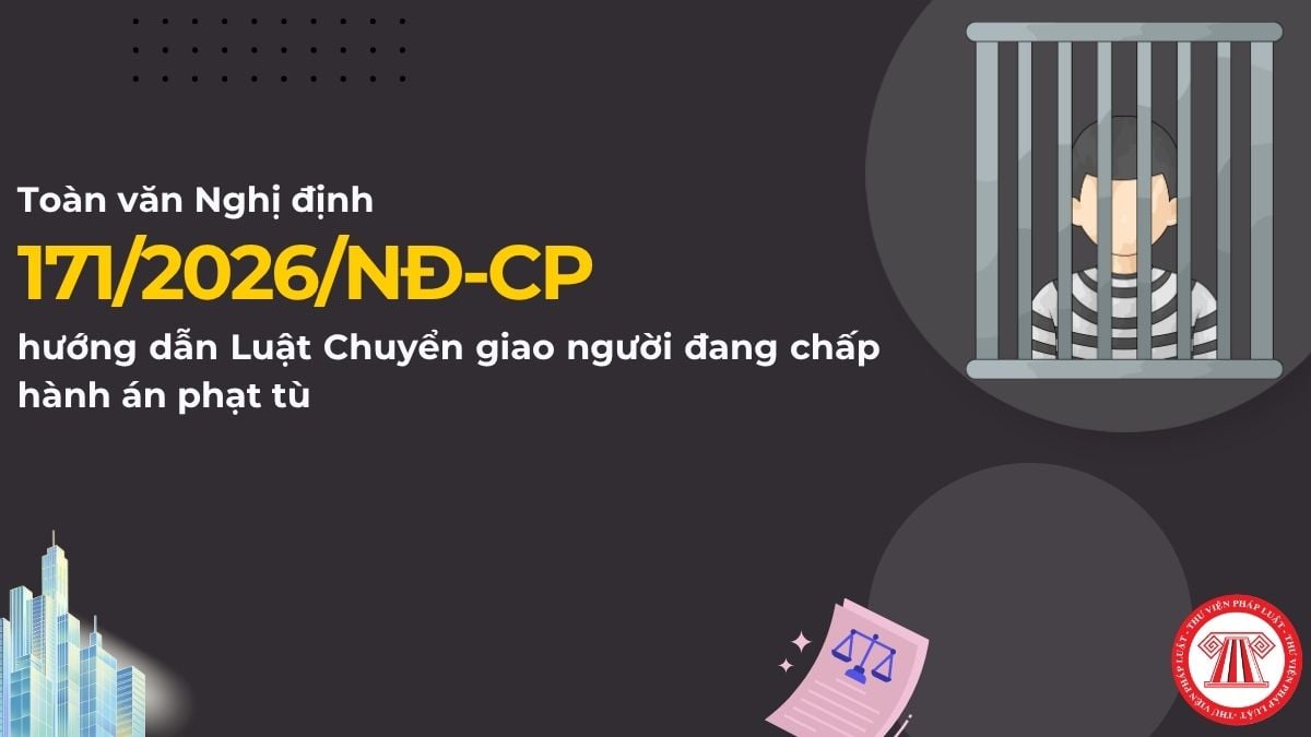 Pháp luật