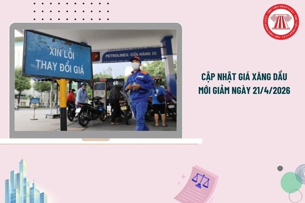 Pháp luật