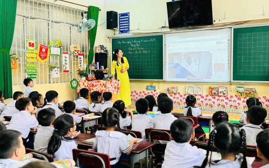 Pháp luật