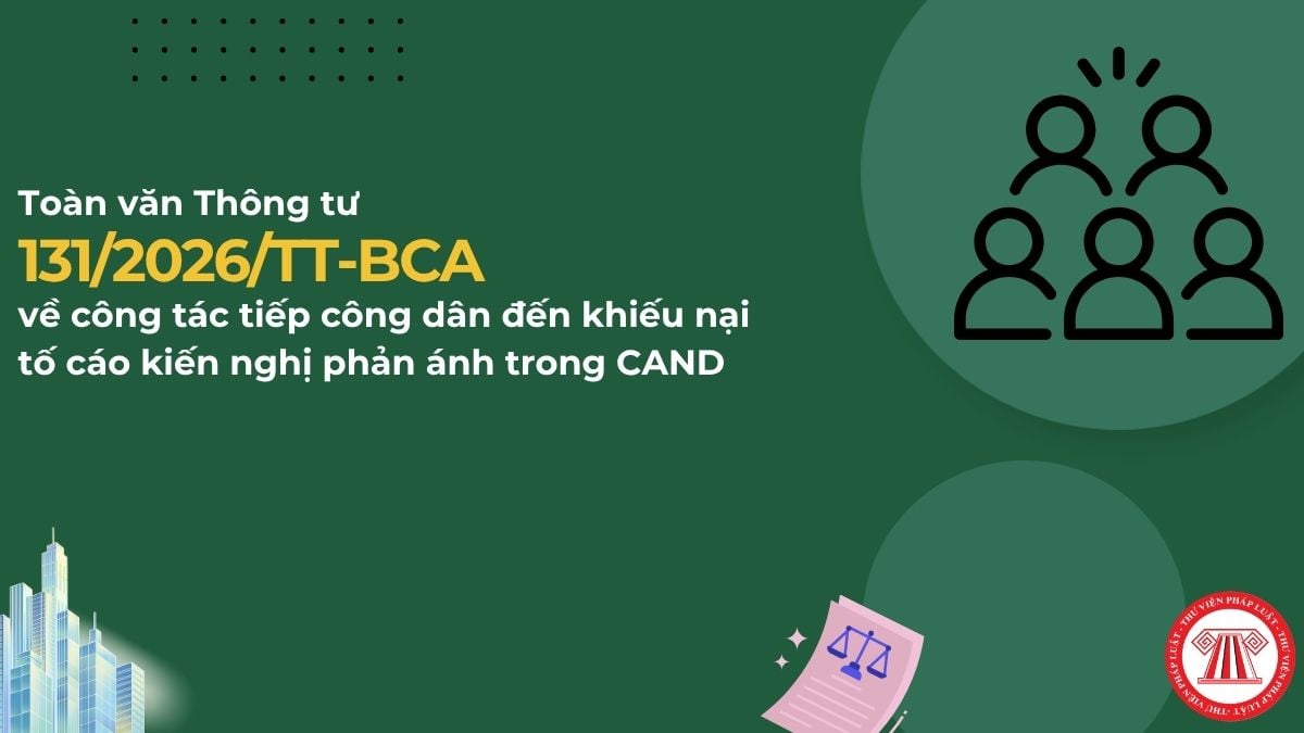 Pháp luật