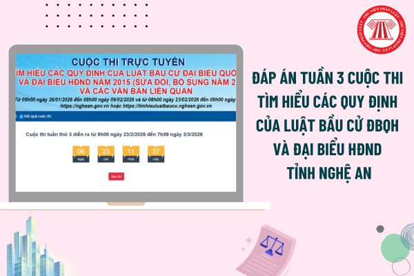 Pháp luật