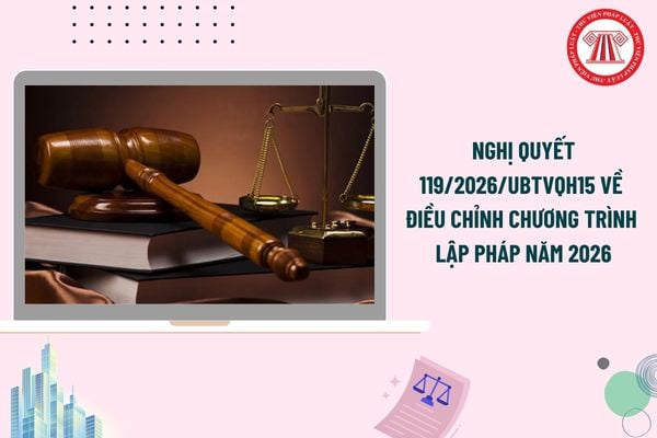 Pháp luật