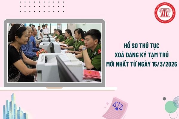 Pháp luật