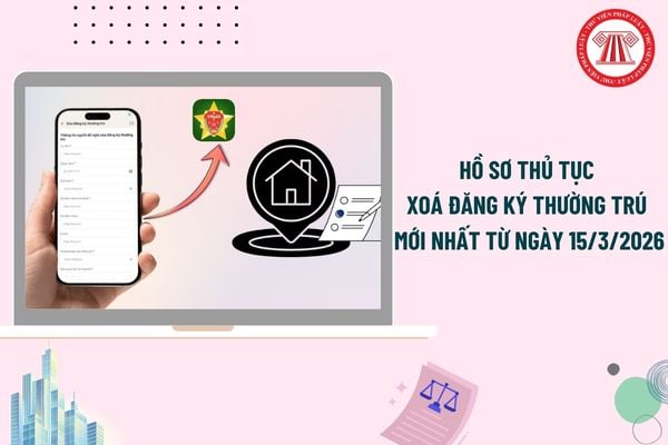 Pháp luật