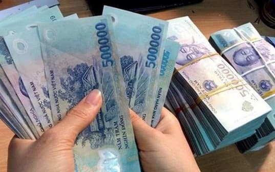 Pháp luật