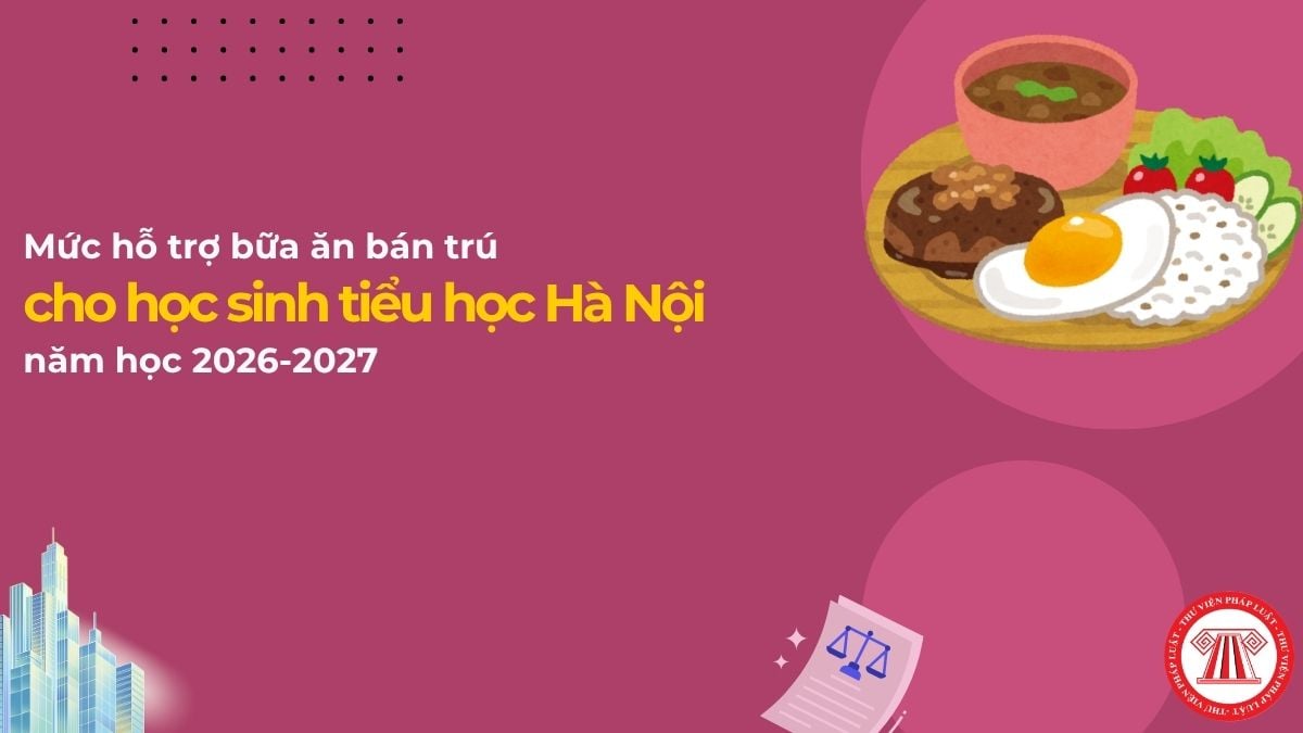 Pháp luật