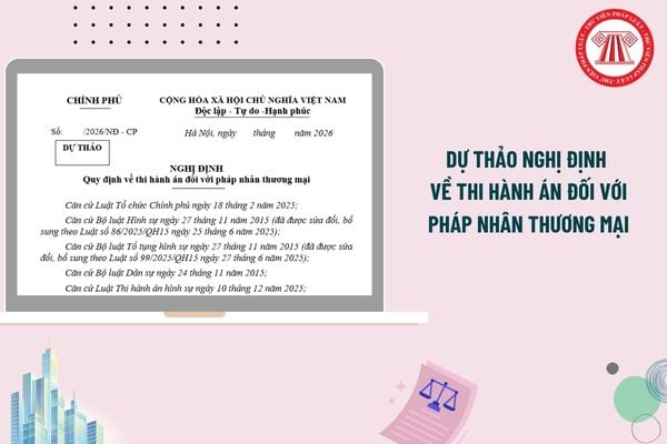 Pháp luật