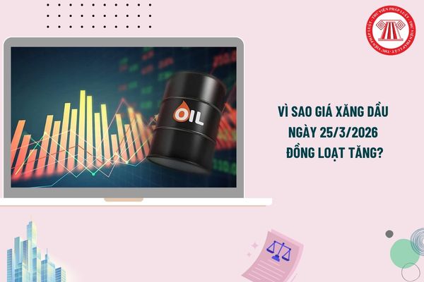 Vì sao giá xăng dầu ngày 25/3/2026 đồng loạt tăng? Bảng giá xăng dầu ngày 25/3/2026 cập nhật mới nhất?