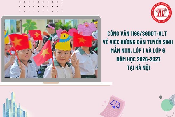 Pháp luật