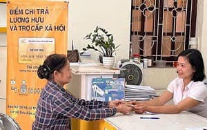 Pháp luật