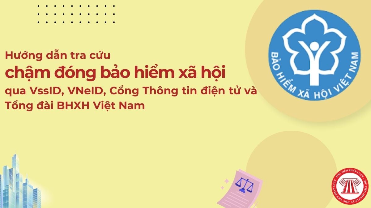 Pháp luật