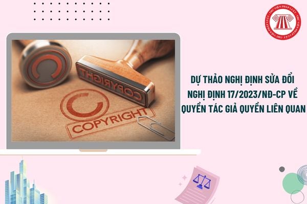 Pháp luật