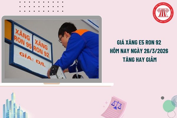 Pháp luật