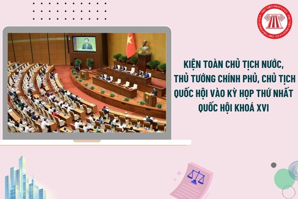 Pháp luật