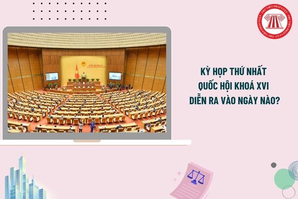 Pháp luật