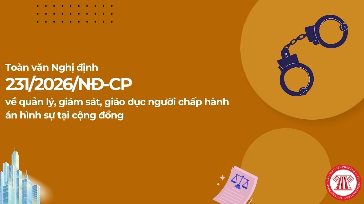 Pháp luật