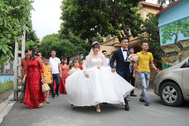 Pháp luật