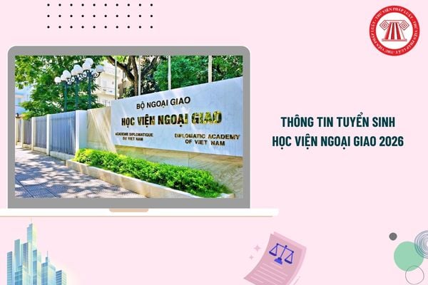 Pháp luật