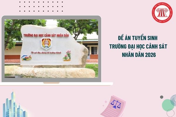 Pháp luật
