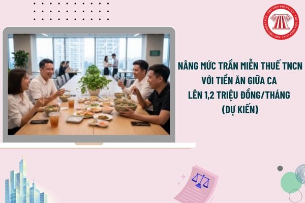 Pháp luật