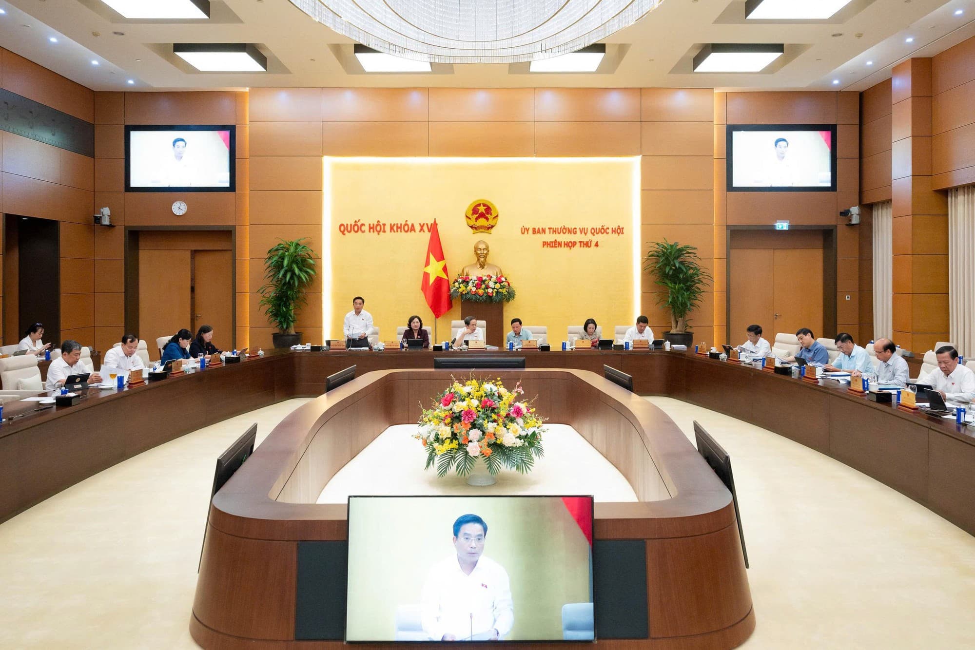 Pháp luật