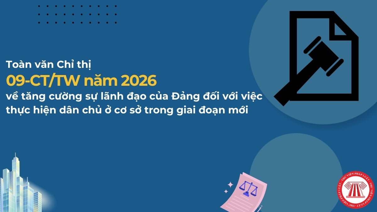 Pháp luật
