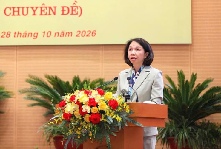 Pháp luật