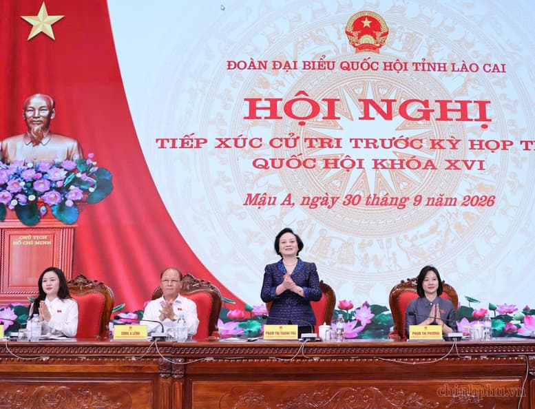 Pháp luật