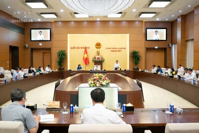 Pháp luật