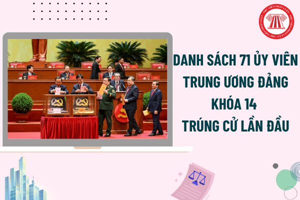 Pháp luật