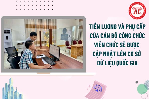 Pháp luật