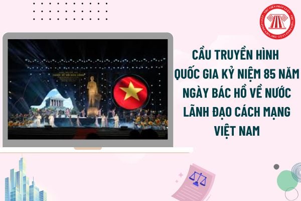 Pháp luật
