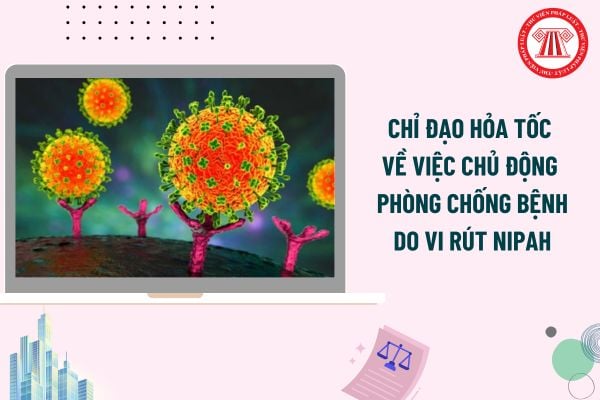 Pháp luật